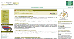 Desktop Screenshot of intranetica.com
